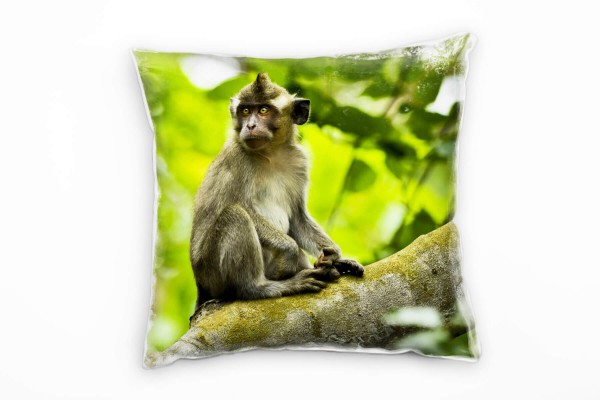 Tiere, Makaken, Affe, Wald, braun, grün Deko Kissen 40x40cm für Couch Sofa Lounge Zierkissen