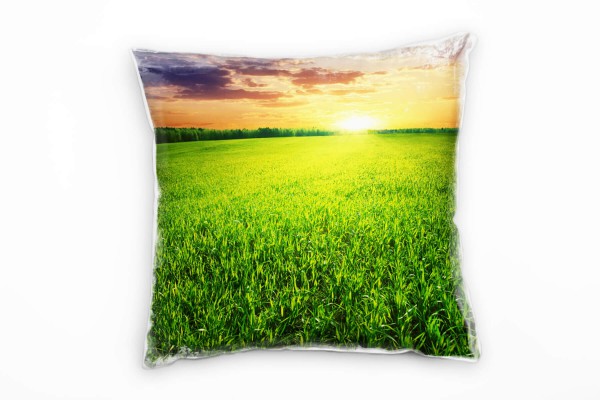 Landschaft, grün, orange, Grasfeld, Sonnenuntergang Deko Kissen 40x40cm für Couch Sofa Lounge Zierki
