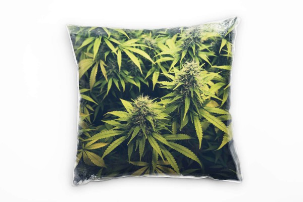 Natur, Cannabis, Marihuana, grün Deko Kissen 40x40cm für Couch Sofa Lounge Zierkissen