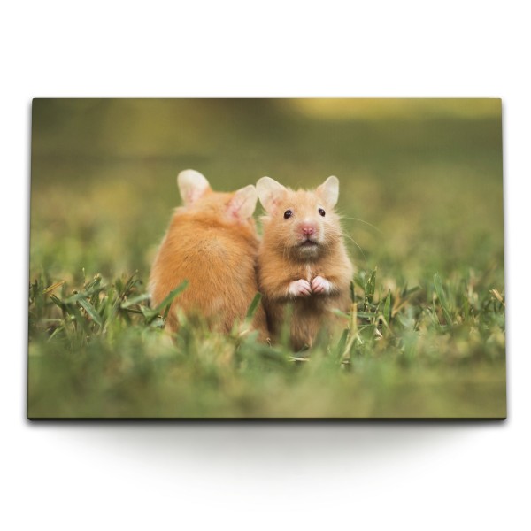 120x80cm Wandbild auf Leinwand Kleine Hamster im Gras Wiese Grün Nager