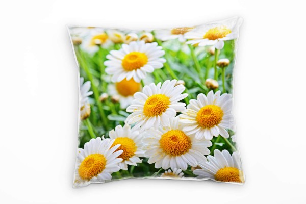 Blumen, Macro, weiß, gelb, grün, Kamille Deko Kissen 40x40cm für Couch Sofa Lounge Zierkissen