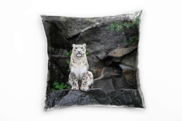 Tiere, Schneeleopard, Felsen, braun, grau Deko Kissen 40x40cm für Couch Sofa Lounge Zierkissen