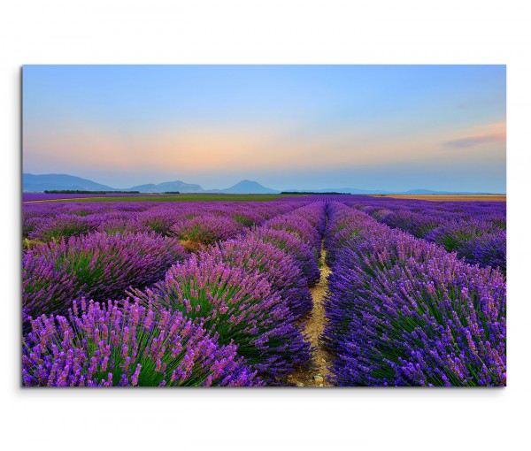 120x80cm Wandbild Provence Lavendelfeld Dämmerung