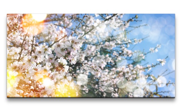 Leinwandbild 120x60cm Frühling Baumblüten Kirschblüten Sonne warmes Licht