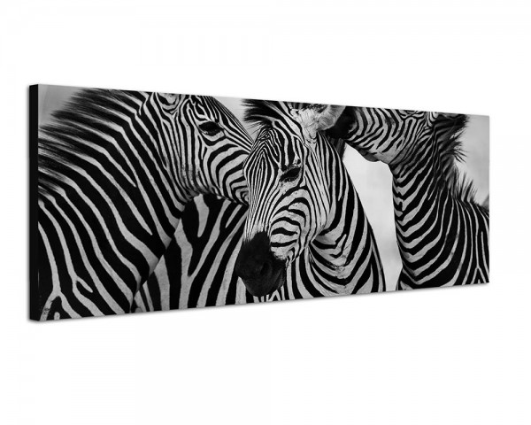 150x50cm Afrika Zebras Wildnis Safari