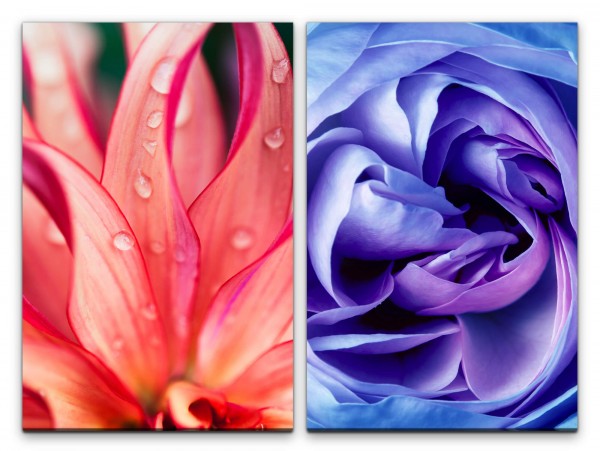 2 Bilder je 60x90cm Blumen Blüten Wassertropfen Seide Kunstvoll Dekorativ Makrofotografie