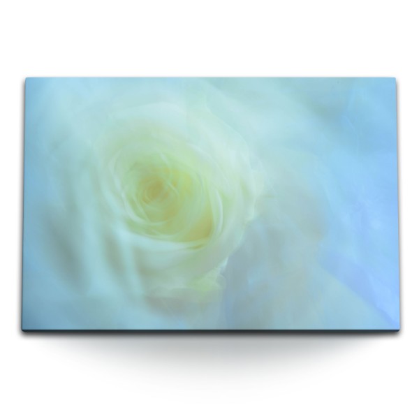 120x80cm Wandbild auf Leinwand Makrofotografie Fotokunst Blüte Blume Hellblau