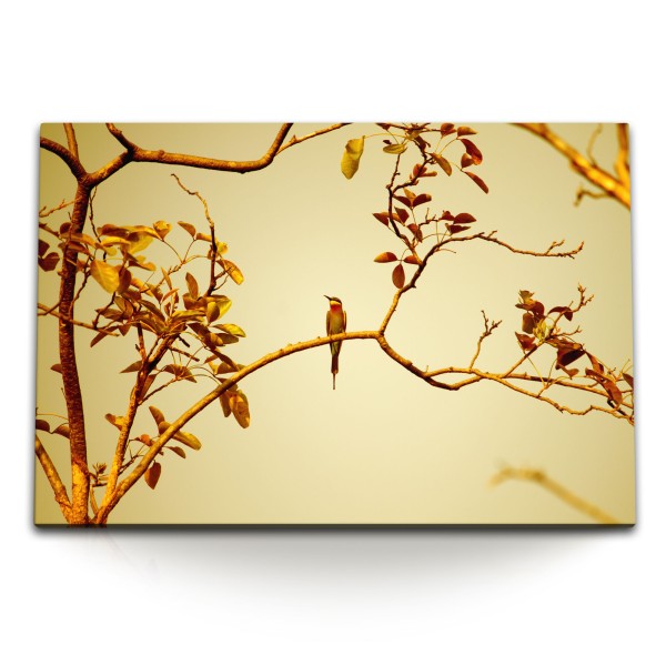 120x80cm Wandbild auf Leinwand Kleiner Vogel im Baum Zweige Sonnenschein