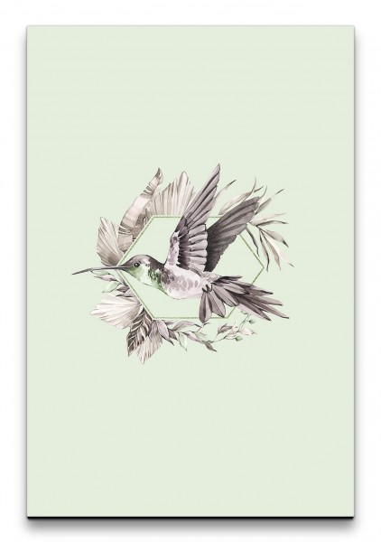 Kolibri Vogel Wasserfarben Kunstvoll Dekorativ Schön