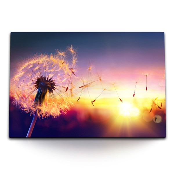 120x80cm Wandbild auf Leinwand Sonnenuntergang Abendröte Pusteblume Fotokunst