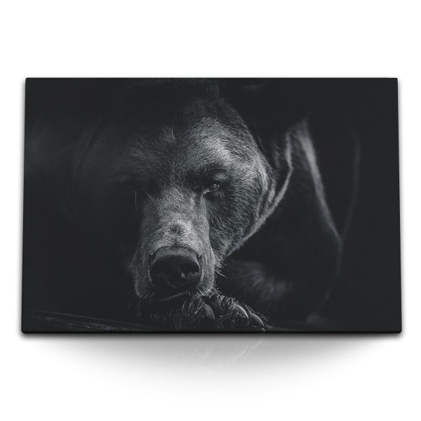 120x80cm Wandbild auf Leinwand Bär Braunbär Schwarz Tierfotografie Kunstvoll