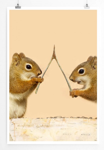 60x90cm Tierfotografie Poster Zwei Eichhörnchen mit Wünschelrute