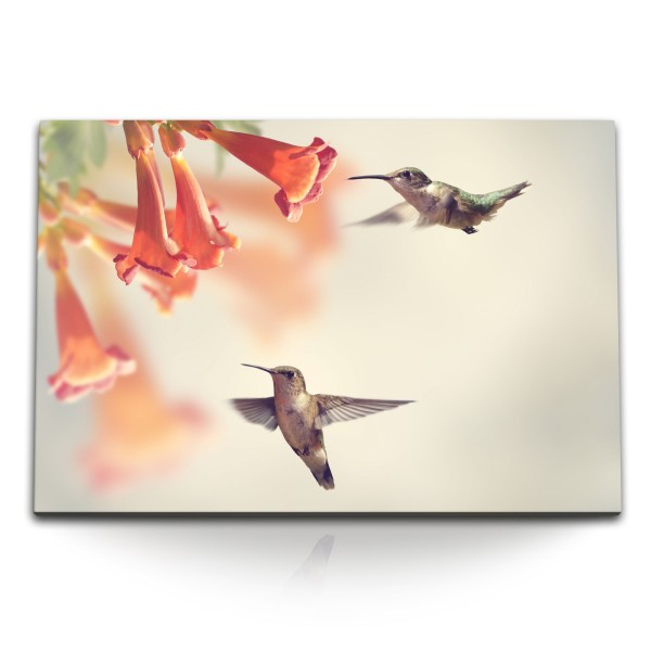 120x80cm Wandbild auf Leinwand Kolibris kleine Vögel exotische Blumen Tierfotografie