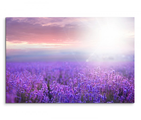 120x80cm Wandbild Lavendel Feld Sonnenuntergang Sommer