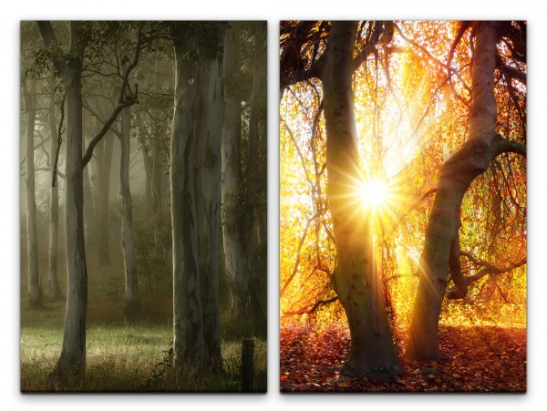 2 Bilder je 60x90cm Wald Bäume goldenes Licht Sonnenstrahlen Beruhigend Erholsam positive Energie