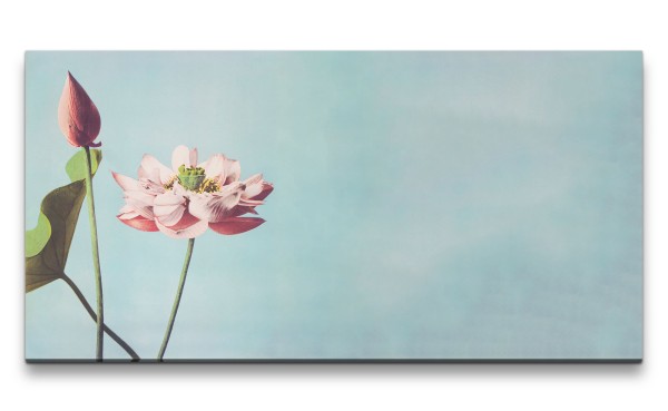 Remaster 120x60cm Ogawa Kazumasa berühmte Fotografie Blume Blüte Lotus Schön