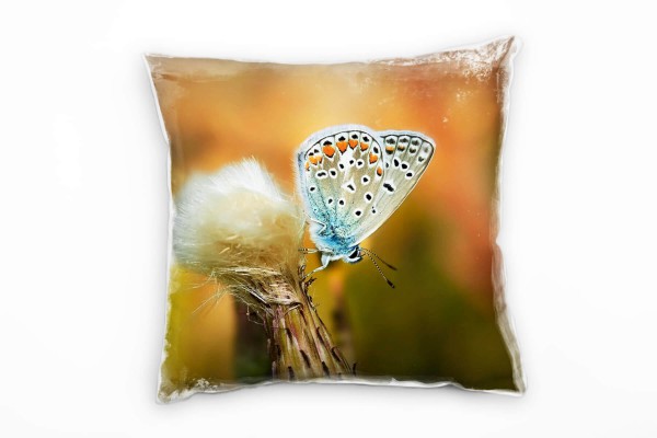 Tiere, Schmetterling, blau, braun Deko Kissen 40x40cm für Couch Sofa Lounge Zierkissen
