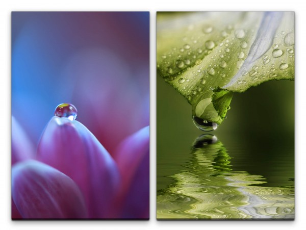 2 Bilder je 60x90cm Wasserperle Blüten grünes Blatt positive Energie Meditation Beruhigend Makrofoto