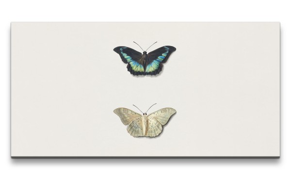 Remaster 120x60cm Illustration Schmetterlinge Minimalistisch Schön Dekorativ Einfach