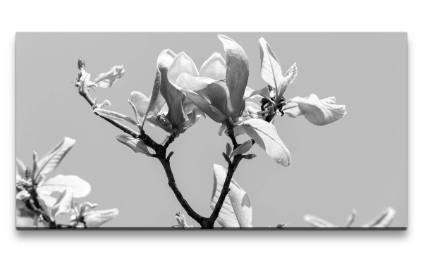 Leinwandbild 120x60cm Fotokunst Zweige Blätter Schwarz Weiß Kunstvoll