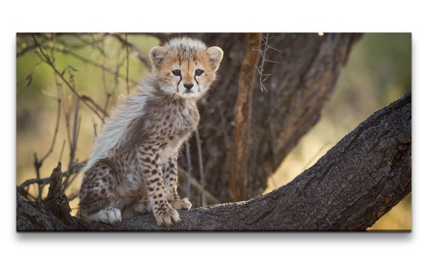 Leinwandbild 120x60cm Kleiner Gepard auf Baum Afrika Süß Kätzchen