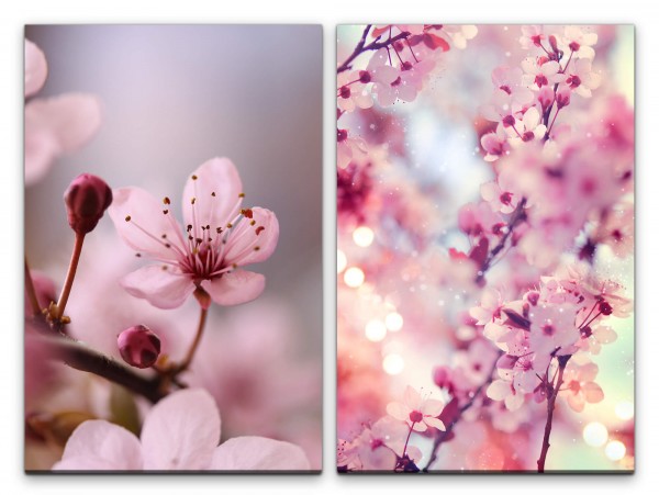2 Bilder je 60x90cm Kirschblüte Kirschbaum Frühling Japan Sakura Sanft Dekorativ