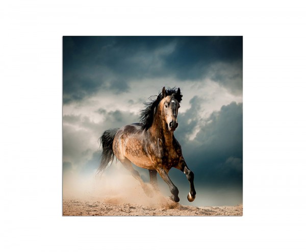 80x80cm Pferd Sand Dunst Wolkenhimmel