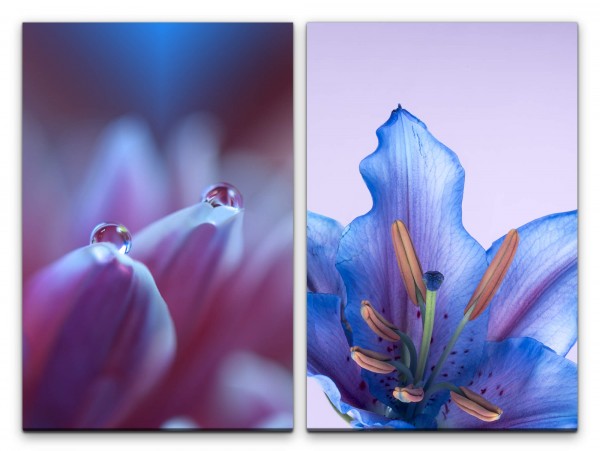 2 Bilder je 60x90cm Wassertropfen Blüten Blau Blumen Sommer Dekorativ Makrofotografie