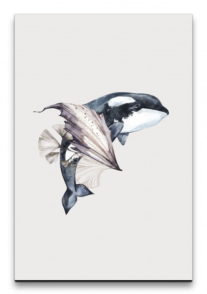 Schwertwal Orca Schwarz Weiß Wasserfarben Aquarell Dekorativ
