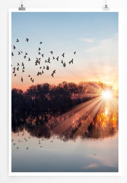 Landschaftsfotografie 60x90cm Poster Vogelschwarm über einem See bei Sonnenuntergang