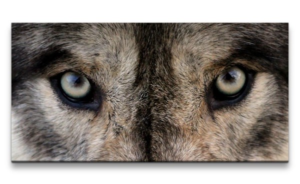Leinwandbild 120x60cm Wolf Augen Wild Wildnis Mystisch schönes Tier