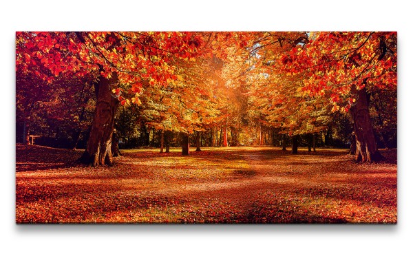 Leinwandbild 120x60cm Herbst Herbstblätter Herbstgold Bäume Park Romantisch