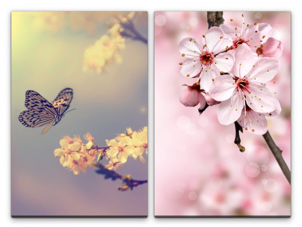 2 Bilder je 60x90cm Frühling Kirschblüten Schmetterling Kirschzweig Rosa Kirschen Japan