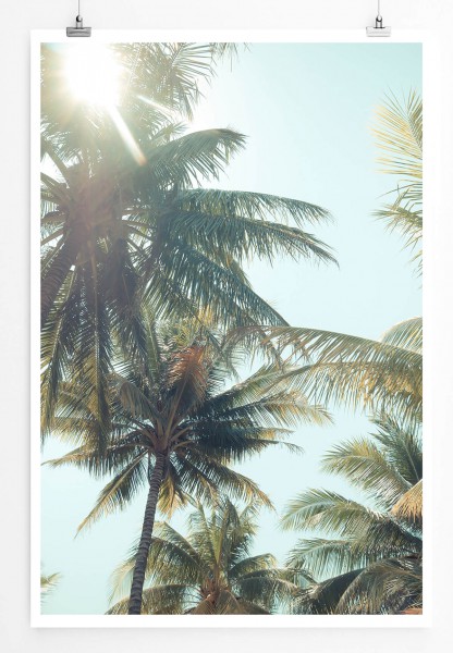 60x90cm Poster Naturfotografie  Kokosnuss Palmen im Vintage Stil