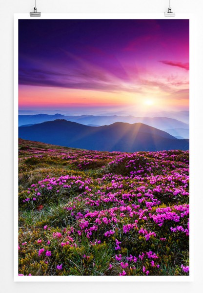 60x90cm Landschaftsfotografie Poster Pinker Rhododendron Ukraine