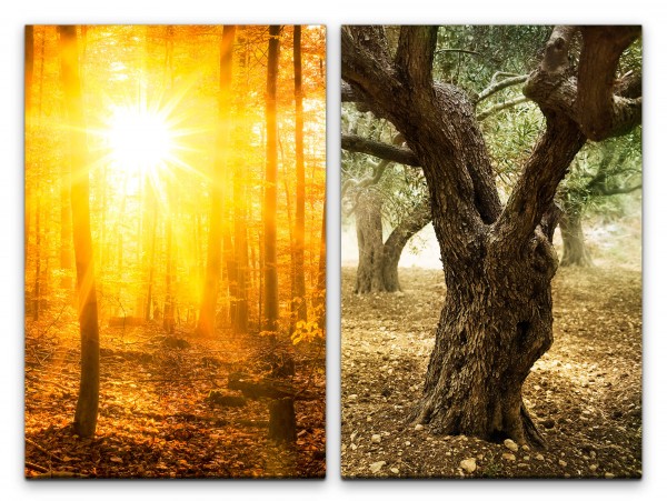 2 Bilder je 60x90cm Herbst Wald Sonnenstrahlen alter Baum warmes Licht Wärme Stille