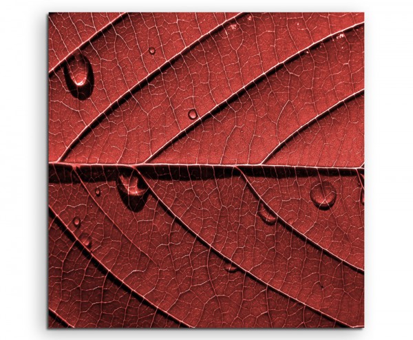 Naturfotografie – Struktur eines roten Laubblatts auf Leinwand