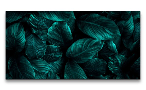 Leinwandbild 120x60cm Grüne Blätter Dekorativ Pflanzen Kunstvoll Fotokunst Dunkel