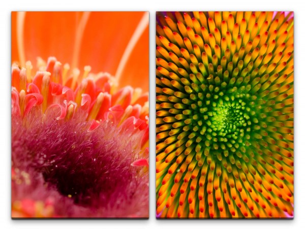 2 Bilder je 60x90cm Blüten Farbenfroh Blumen Sommer Dekorativ Fotokunst Makrofotografie