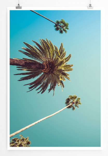Palmen vor blauem Himmel Los Angeles USA 60x90cm Poster