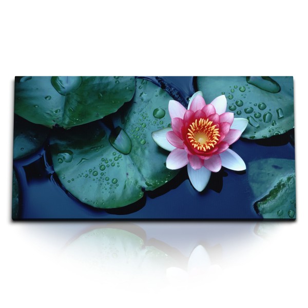 Kunstdruck Bilder 120x60cm Lotusblume Lotus Wasserblume Teich Rosa Blüte