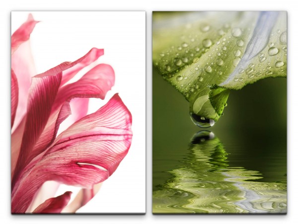 2 Bilder je 60x90cm Blüte Wasser Wassertropfen Tropfen Blume Grün Erfrischend
