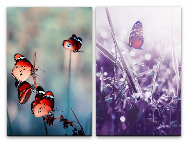2 Bilder je 60x90cm Sommer Schmetterlinge Frühling Leben Natur Sanft Wiese