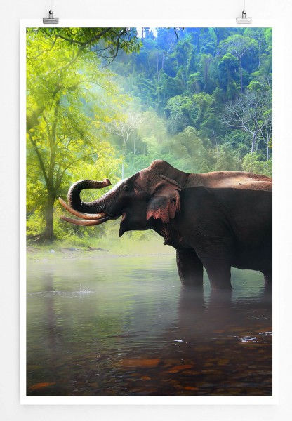 Elefant Kanchanaburi Provinz Thailand 60x90cm Poster