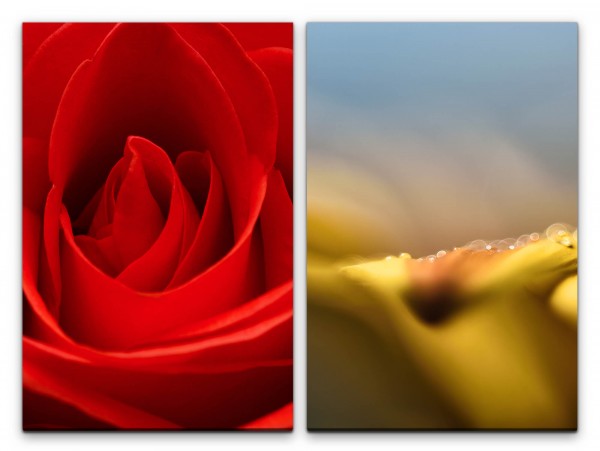 2 Bilder je 60x90cm Rose rote Blüte Dessous Liebe Romantisch Weich Feminin