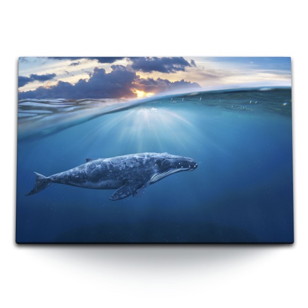 120x80cm Wandbild auf Leinwand Grauwal Wal unter Wasser Blau Ozean Sonnenuntergang
