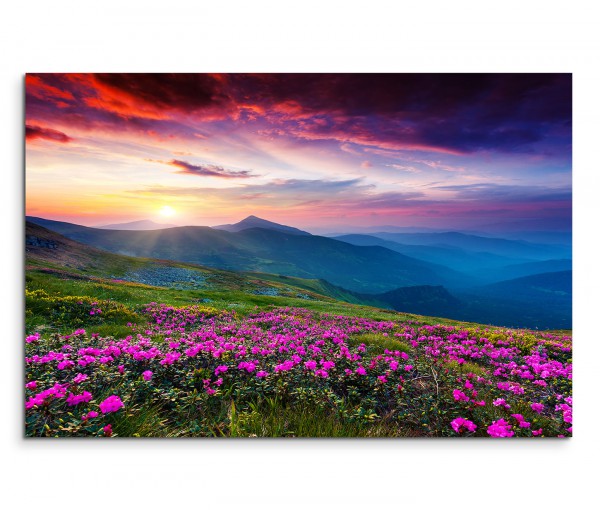 120x80cm Wandbild Ukraine Berge Wiesen Blumen Abendsonne