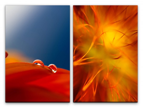 2 Bilder je 60x90cm Blume Tropfen Makro Rot Orange Modern Entspannend