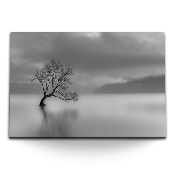 120x80cm Wandbild auf Leinwand Schwarz Weiß Fotografie Baum im See Grau Monochrom