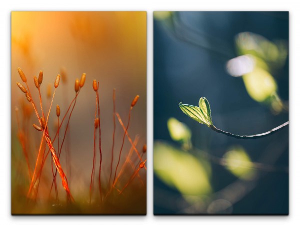 2 Bilder je 60x90cm Frühling Pflanzen junges Blatt Natur Sanft Weich Dekorativ